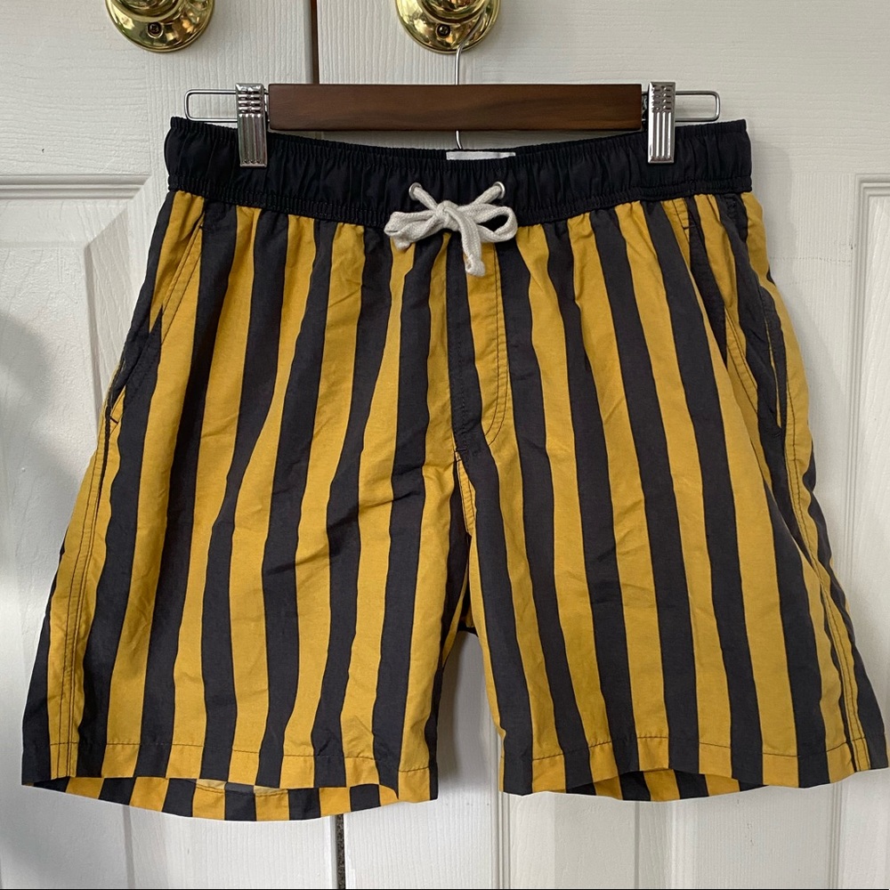 Mens swimsuit